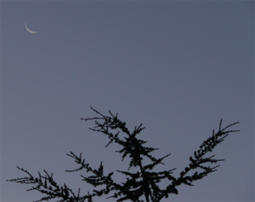 Lune-Vénus, 19/07/2009, 5 h 15 UTC