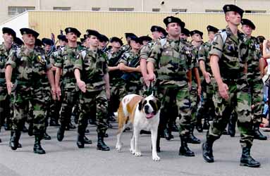 4e RC, défilé d'escadron avec le chien Saint-Bernard (saint patron des troupes de montagne), mascotte du régiment