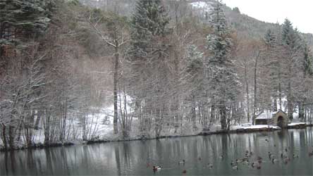 Lac de Charance prs du chteau, dbut janvier 2007